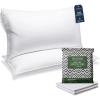 imageBeckham Hotel Collection King Size Pillows and Pillow Protectors  Sets of 2