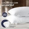 imageBeckham Hotel Collection Pillows with 2 Silk Pillowcases for Hair amp Skin 22 Momme 6A Grade Mulberry Silk Queen Silver Cloud