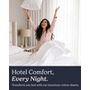 image:imageBeckham Hotel Collection 100 Cotton Queen Sheet Set 4Piece Light Gray  500 Thread Count Silky Soft Weave Breathable AntiPilling 16Inch Pocket AllAround Elastic Gets Softer with Every Wash01  White