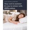 image:imageBeckham Hotel Collection 100 Cotton Queen Sheet Set 4Piece Light Gray  500 Thread Count Silky Soft Weave Breathable AntiPilling 16Inch Pocket AllAround Elastic Gets Softer with Every Wash01  White